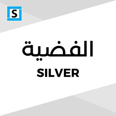 Silver Plan